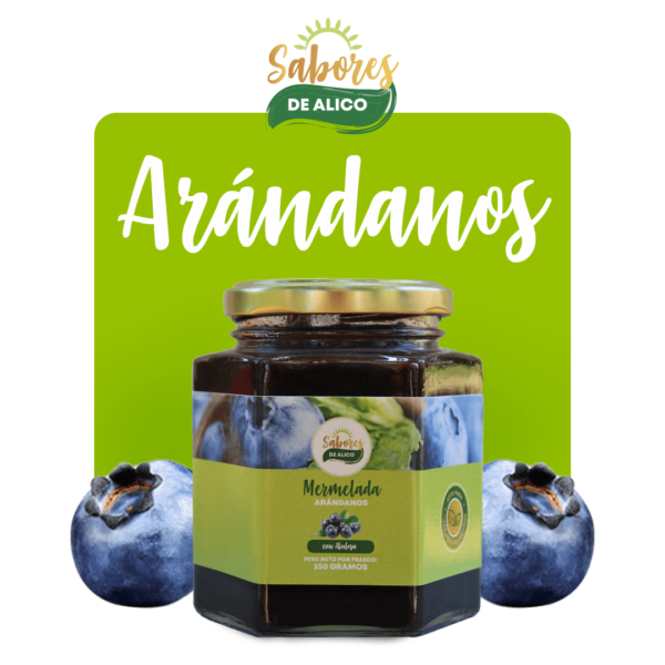 Mermelada Arándano con Alulosa 350gr