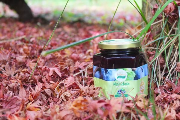 Mermelada Arándano con Alulosa 220gr - Imagen 2