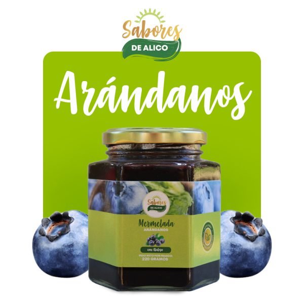 Mermelada Arándano con Alulosa 220gr